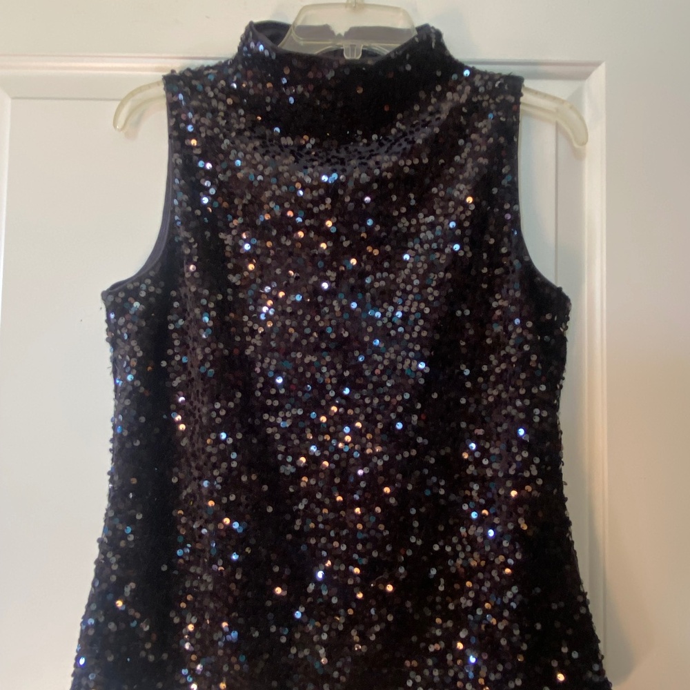 ANN TAYLOR sequin top